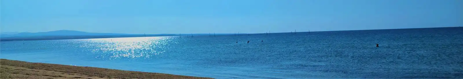 Inu Ellite Suits | Επανομή - Θερμαϊκός - Θεσσαλονίκη - Ελλάδα