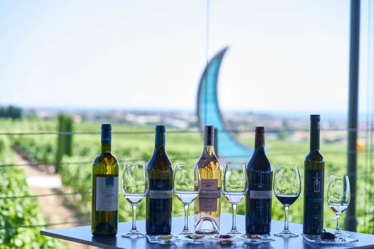 Κτήμα Γεροβασιλείου & Μουσείο Οίνου